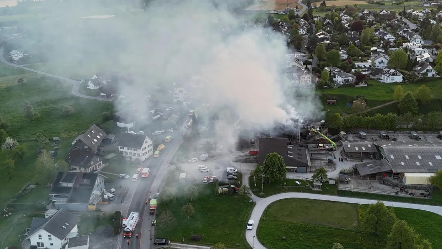 Grave incendio di un maneggio di Hombrechtikon (ZH)
