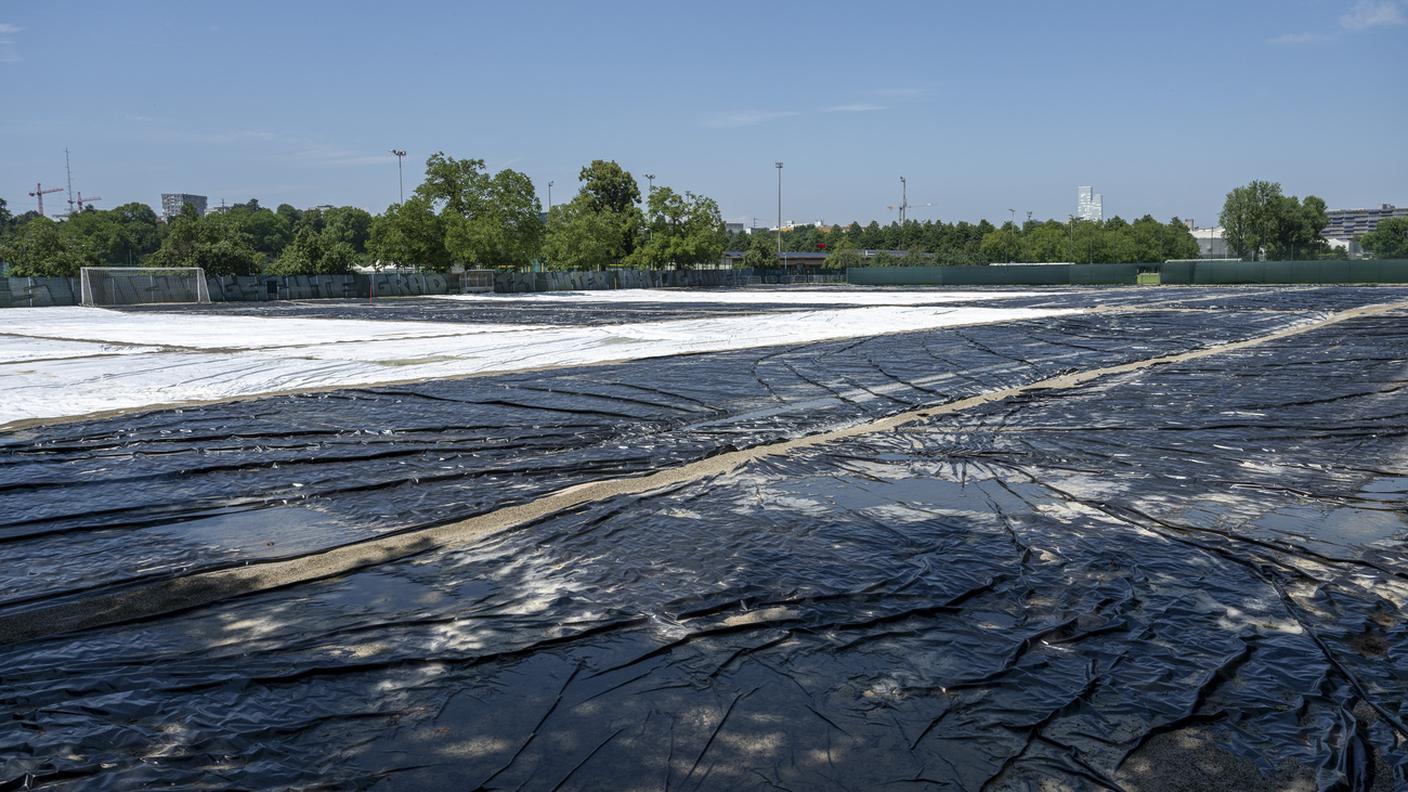Campi da calcio basilesi coperti con teloni di plastica a causa della presenza di larve di coleottero giapponese