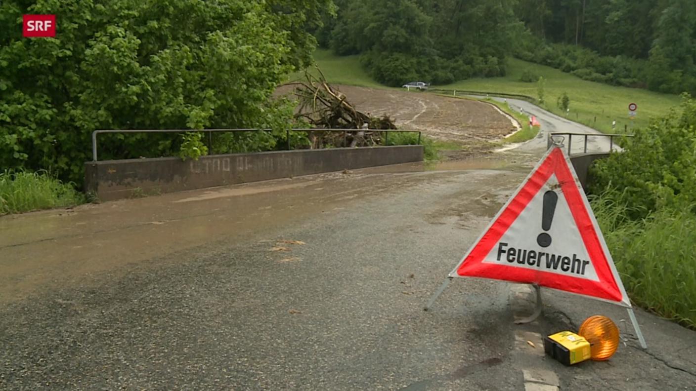 Dal sito SRF News