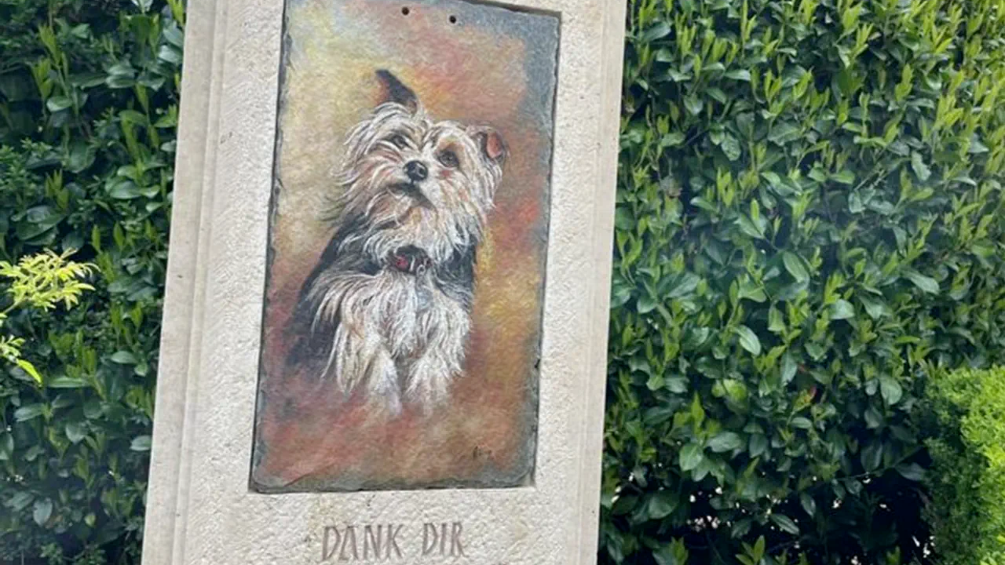 Il primo animale sepolto? Il cane della coppia Mörgeli