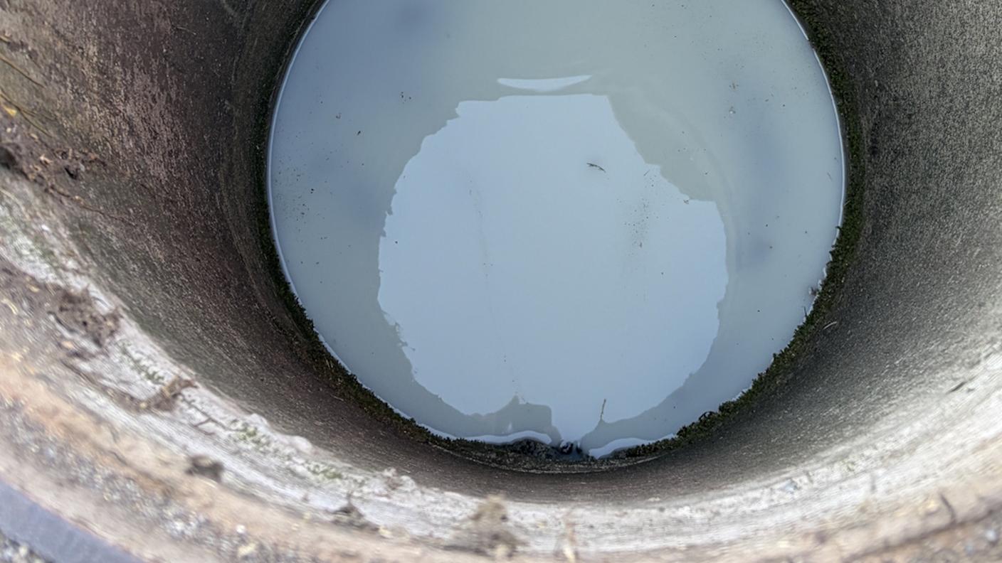 Il latte munto è finito prima nelle canalizzazioni e poi nel torrente