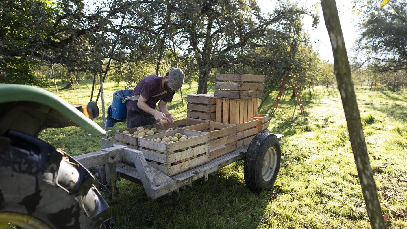 Sicurezza alimentare, al via la campagna dei favorevoli