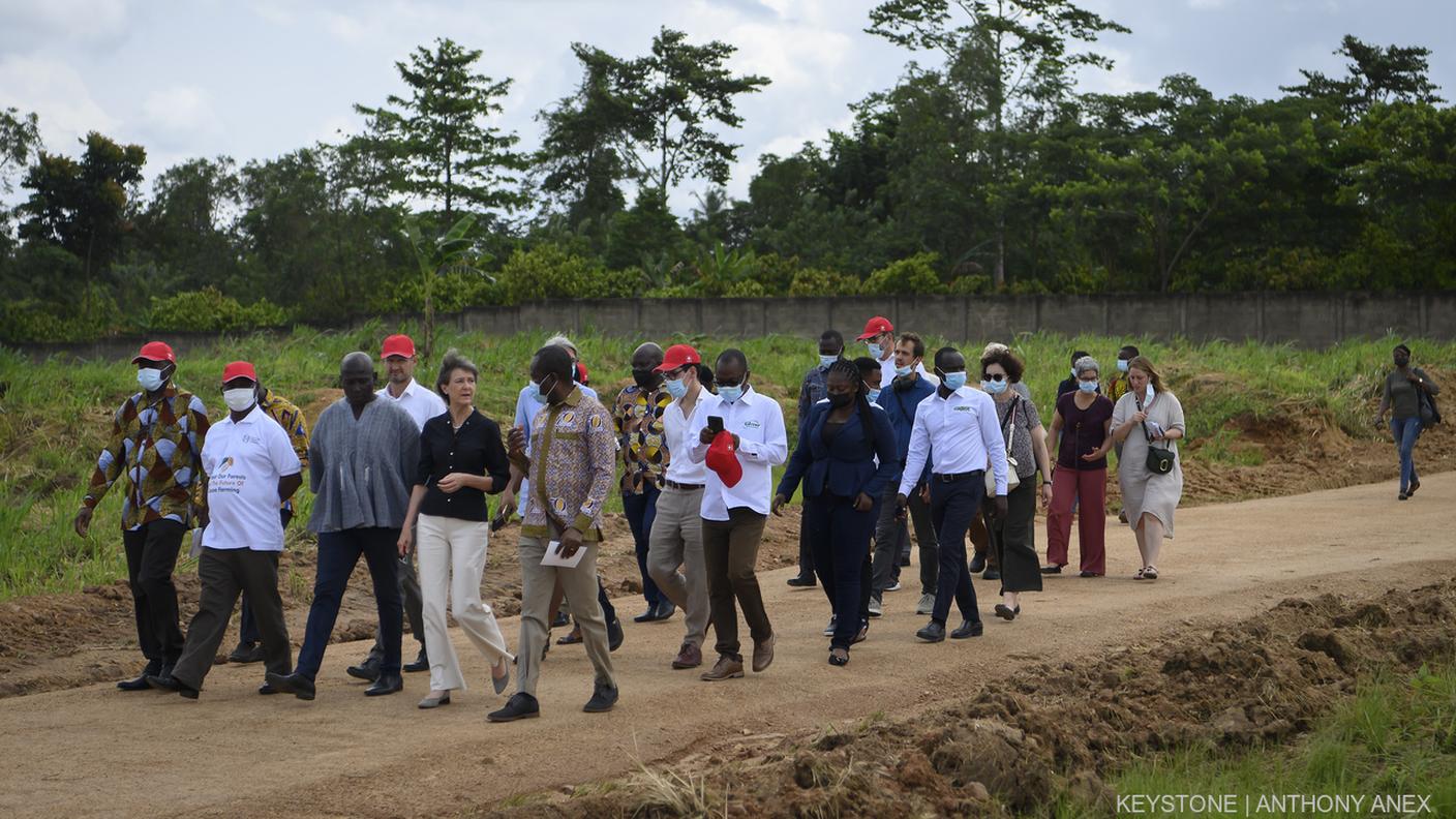 Simonetta Sommaruga in una piantagione di cacao in Ghana