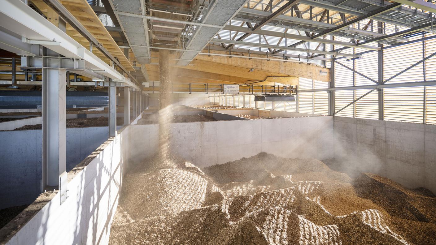 La centrale termica di Frauenfeld (canton Turgovia) alimentata a cippato