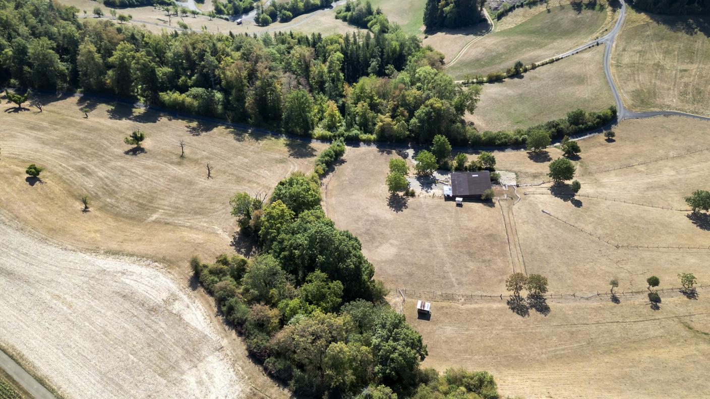 I campi secchi di Wittinsburg