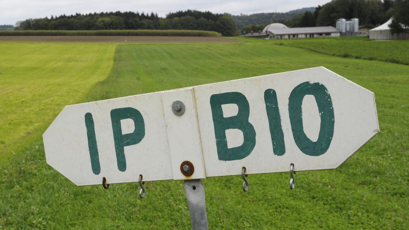 agricoltura campi bio Zurigo 2011 ky.JPG