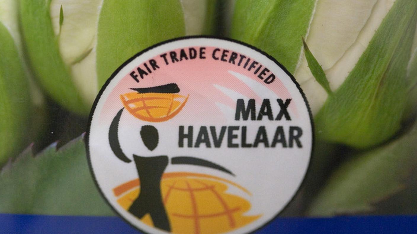 max havelaar.JPG