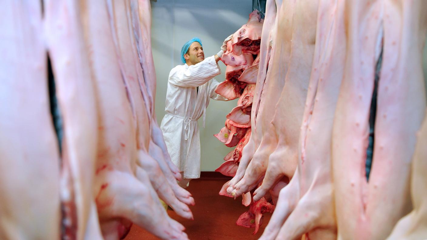 cella frigorifera carne tp.jpg