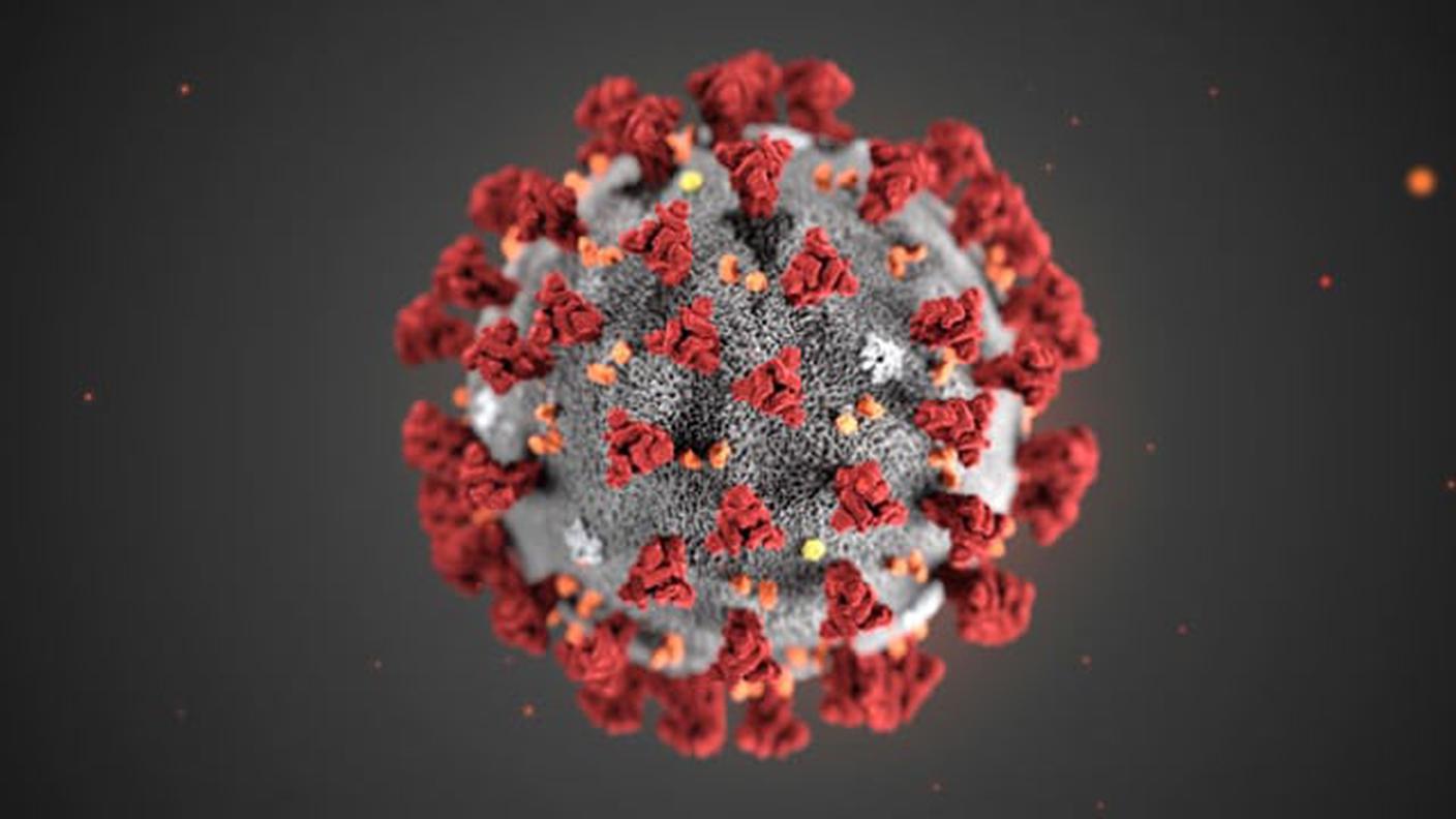 La nuova variante, denominata scientificamente B.1.1.529, è osservata da vicino anche dall'OMS