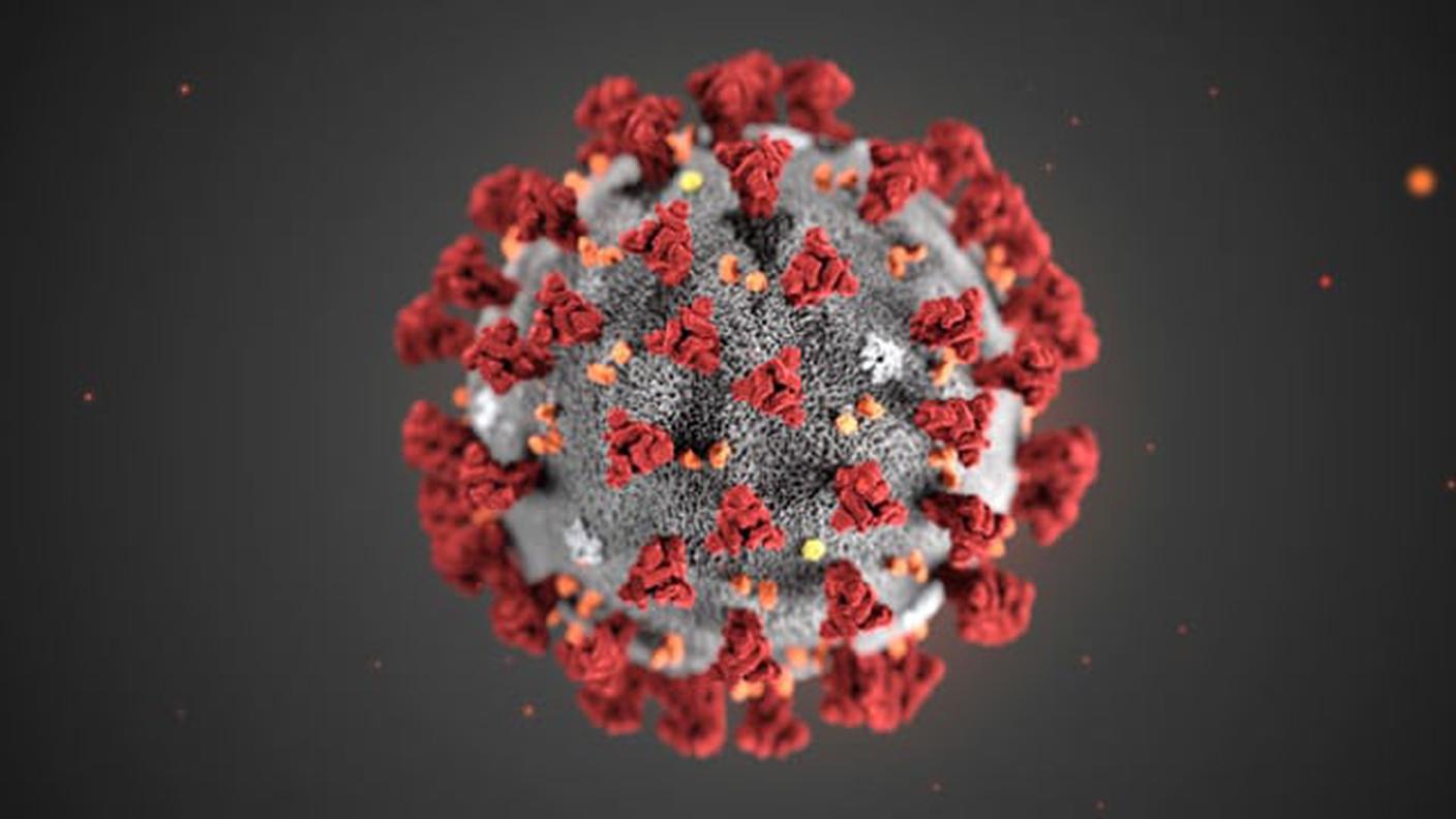 Una delle varianti del virus: la B.1.1.529