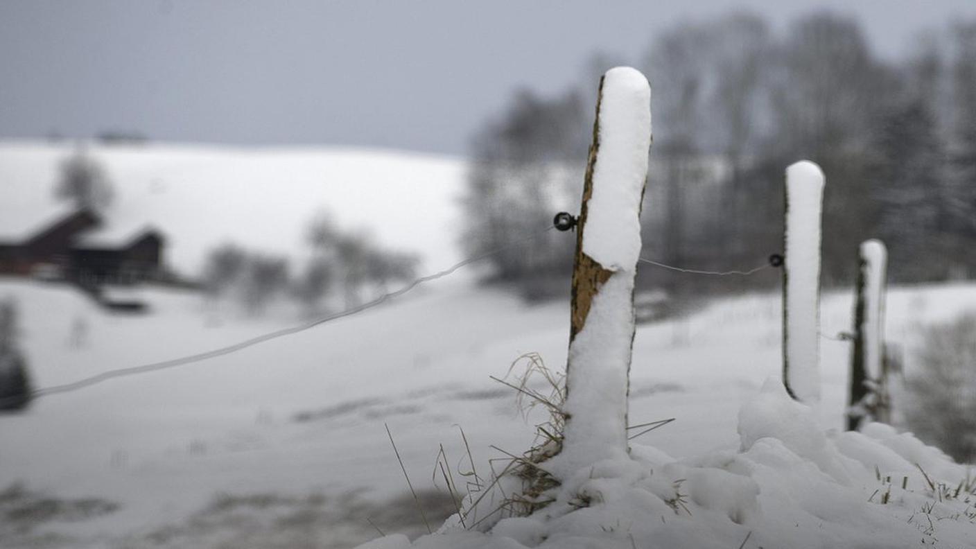 neve asilanti,ky.JPG
