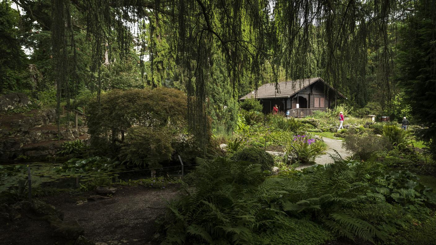 Il giardino botanico