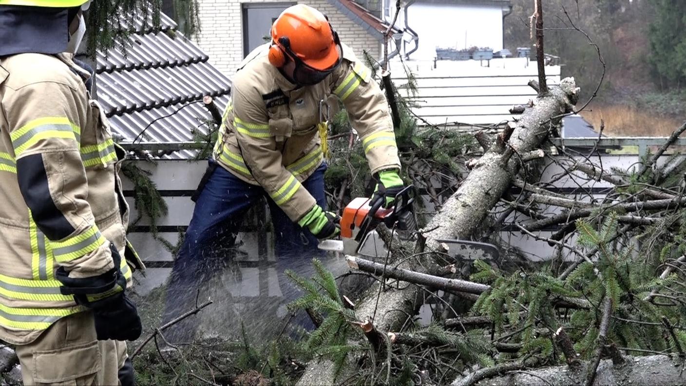 Roxana ha causato al suo passaggio la caduta d'alberi tanto in Svizzera quanto in Germania