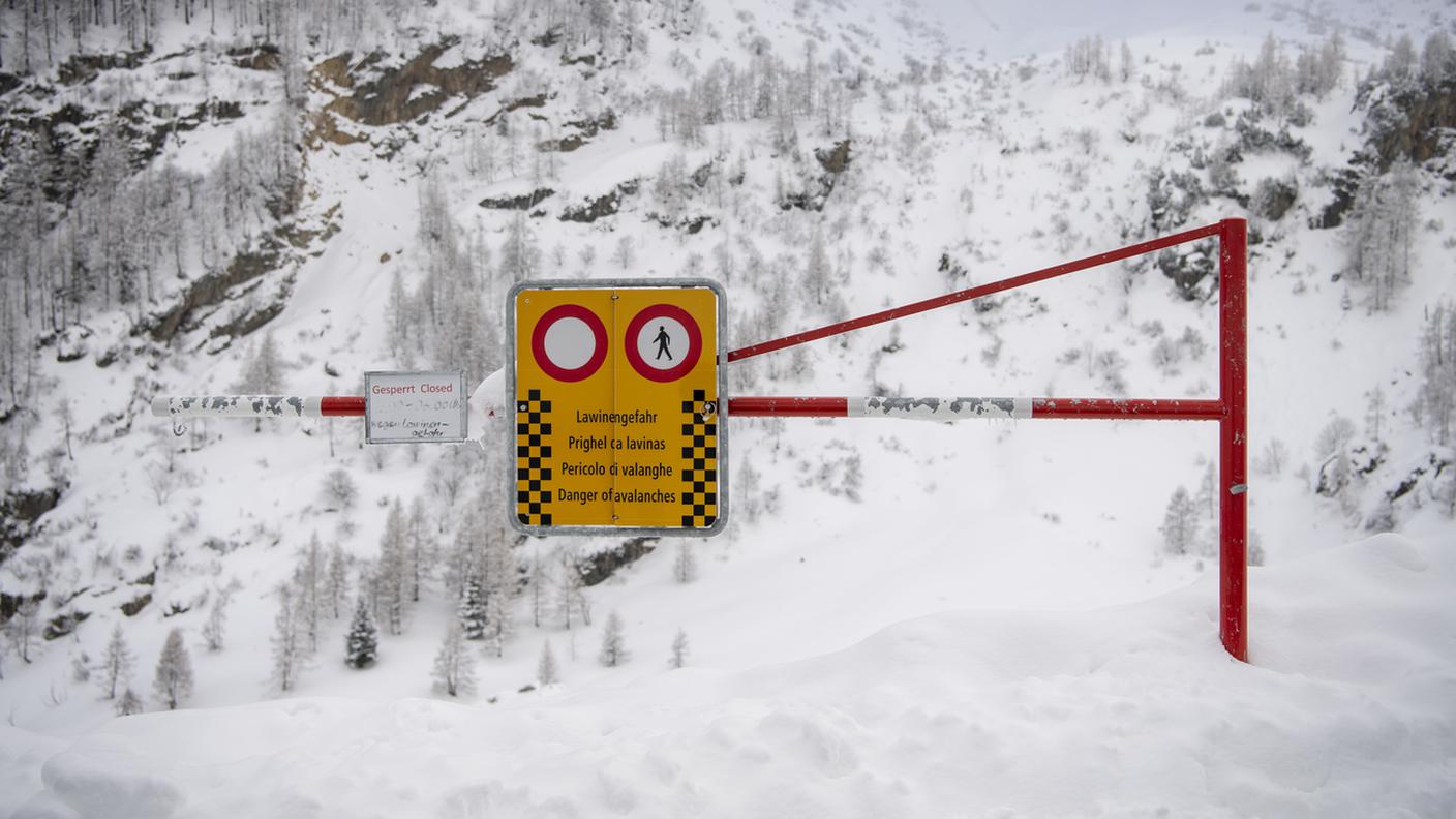 Tutti i decessi sono stati registrati fuori dalle zone protette