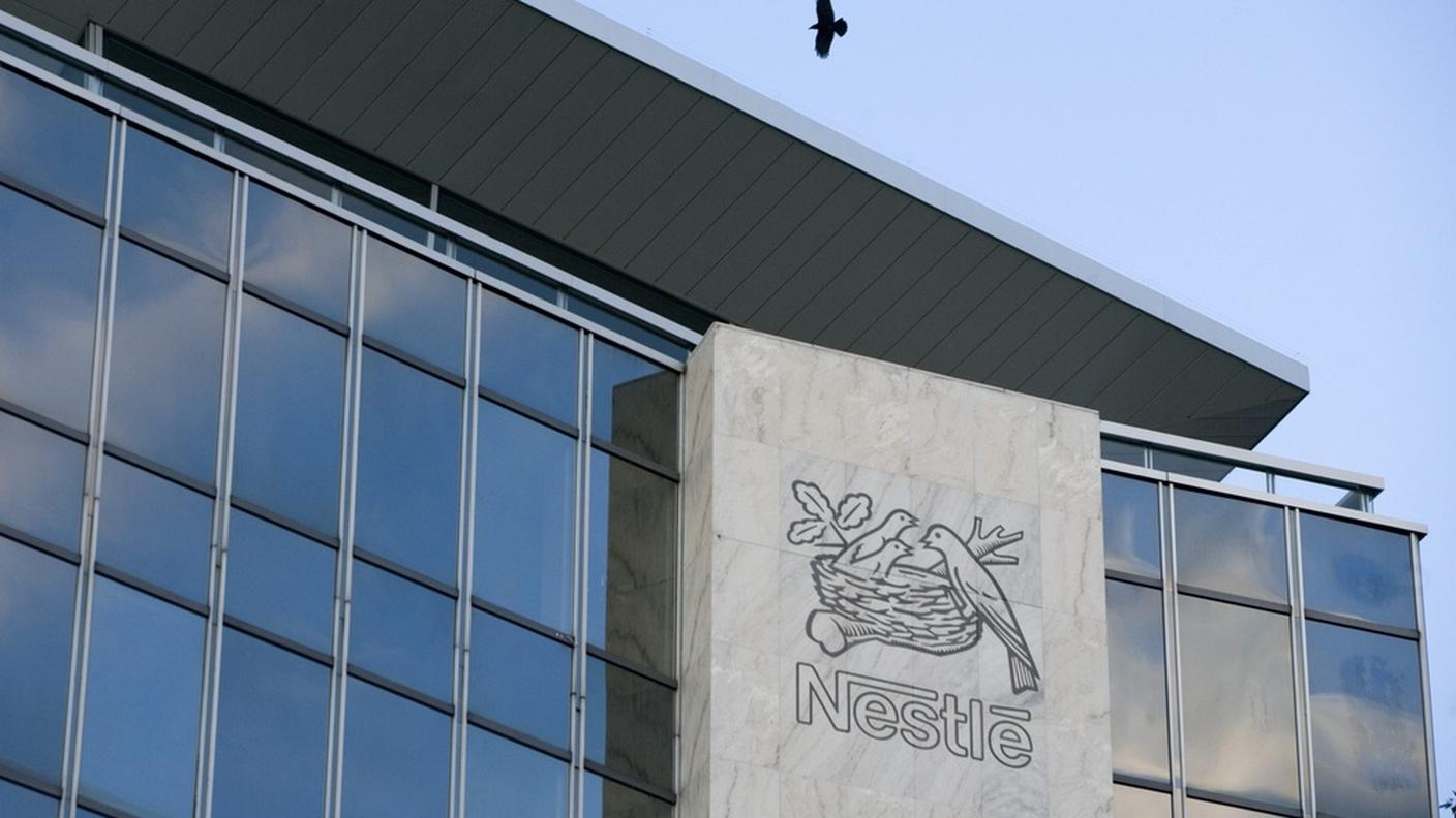 ky_nestle.JPG