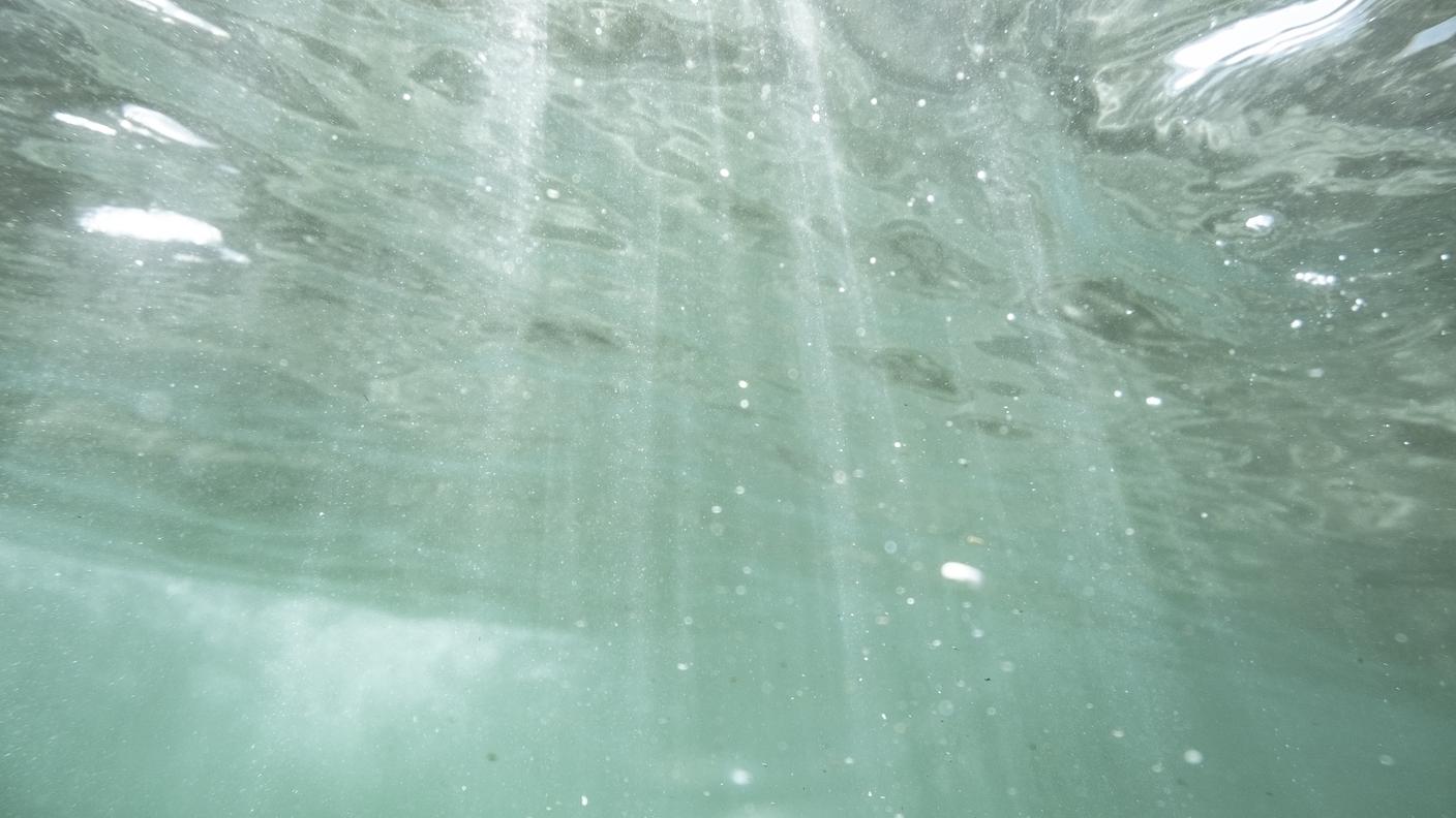 I minuscoli frammenti di plastica che finiscono nell'ambiente e nell'acqua sono più piccoli di un millesimo di millimetro