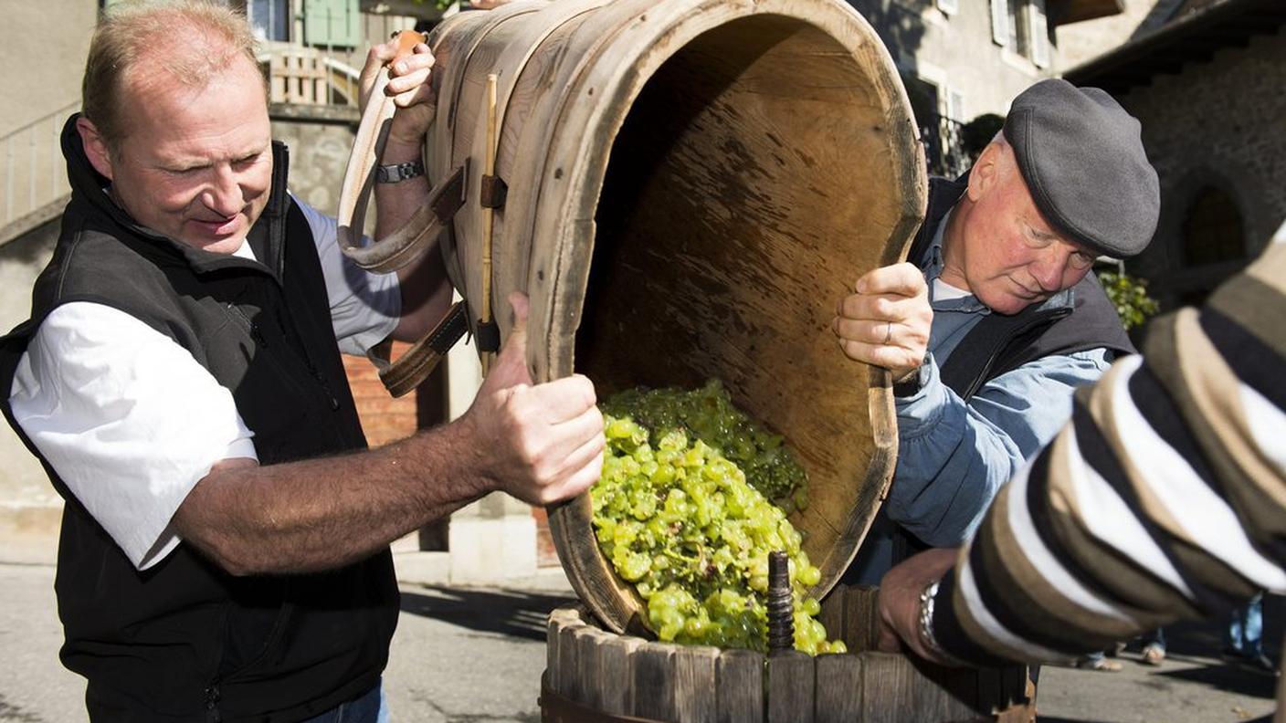 I vini bianchi svizzeri hanno avuto un successo eccezionale nel 2013