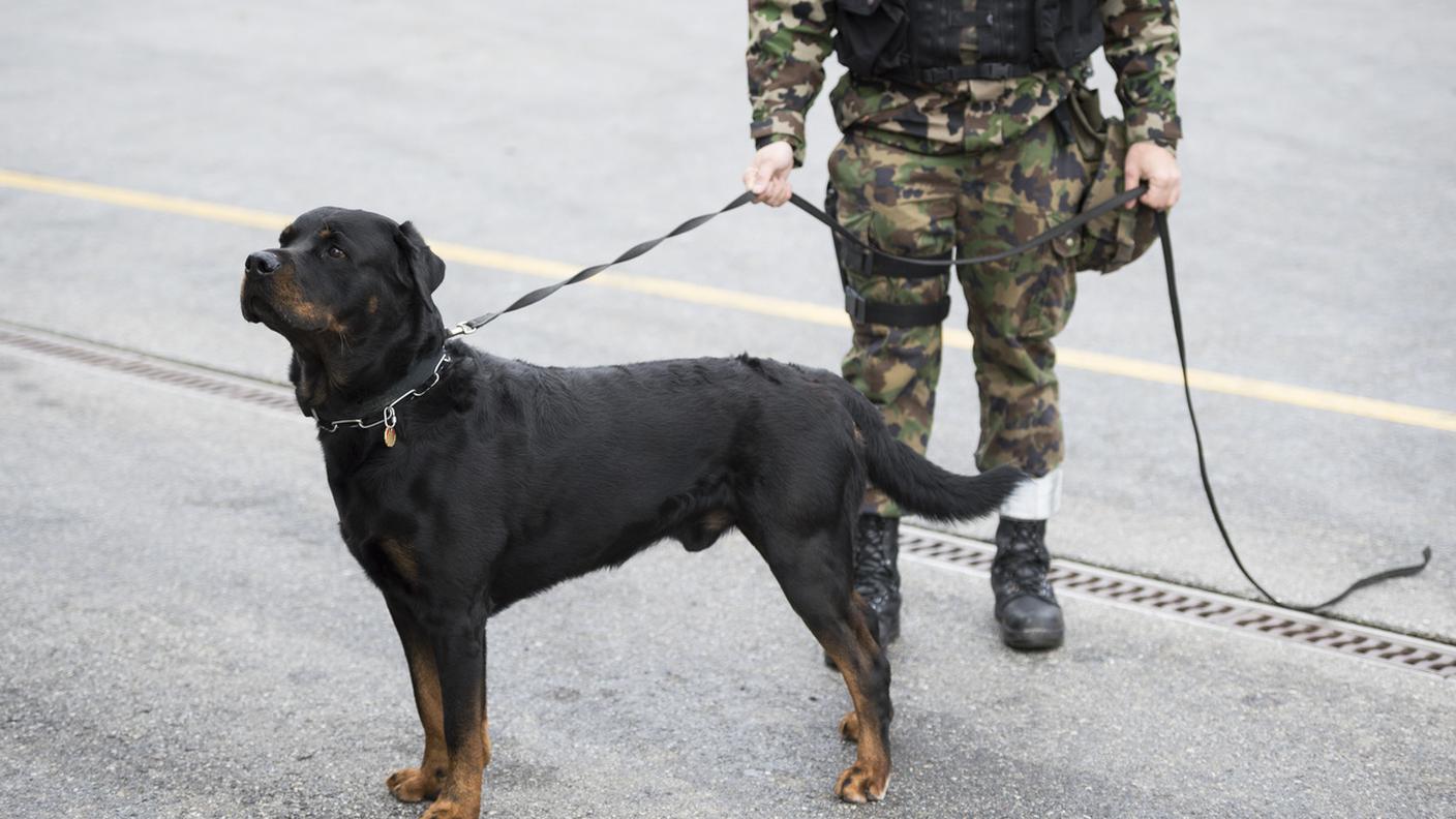 L'esercito metterà a disposizione fino a 1'600 uomini