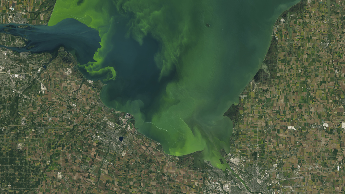 Il lago Erie tra USA e Canada invaso dai cianobatteri