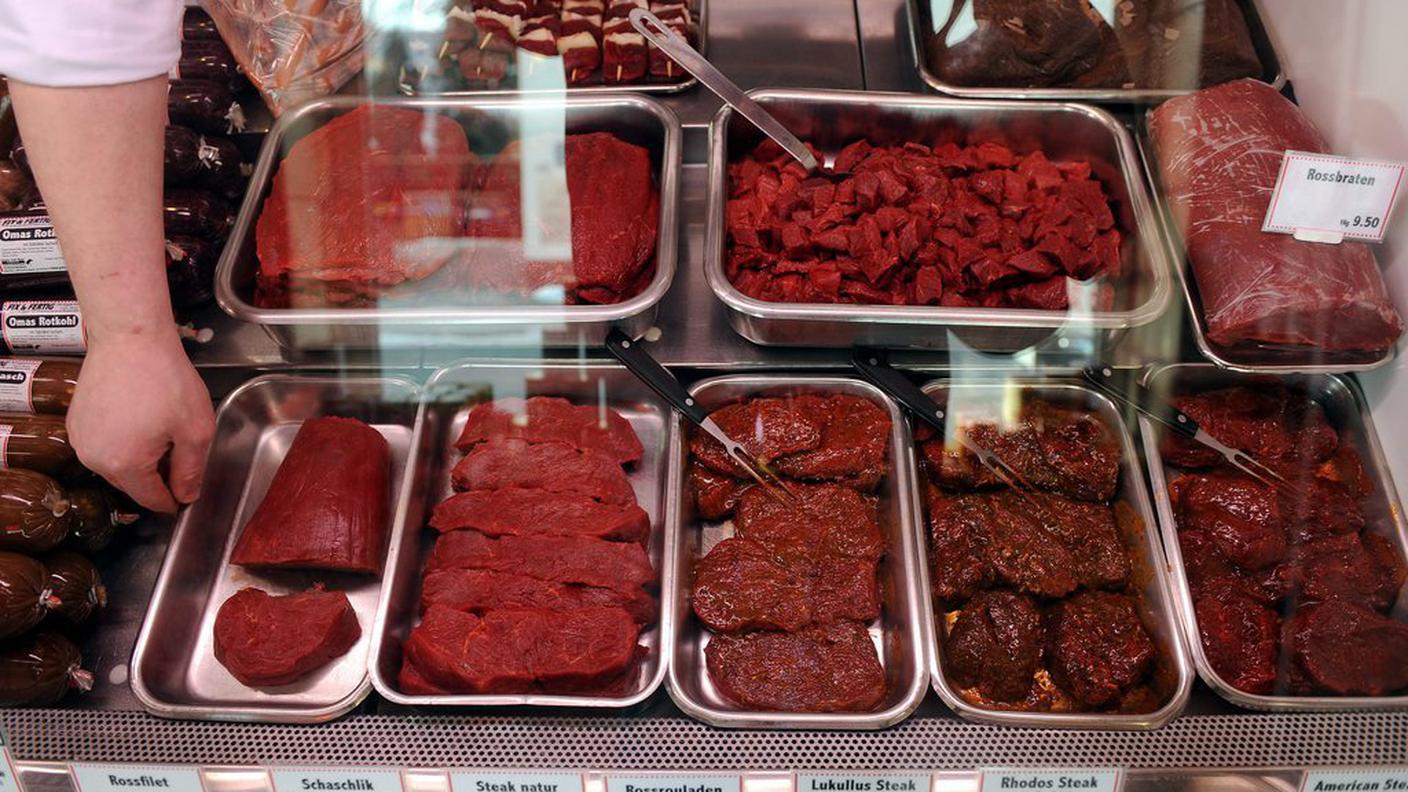 macelleria carne cavallo equina 20.2.13 ky.JPG