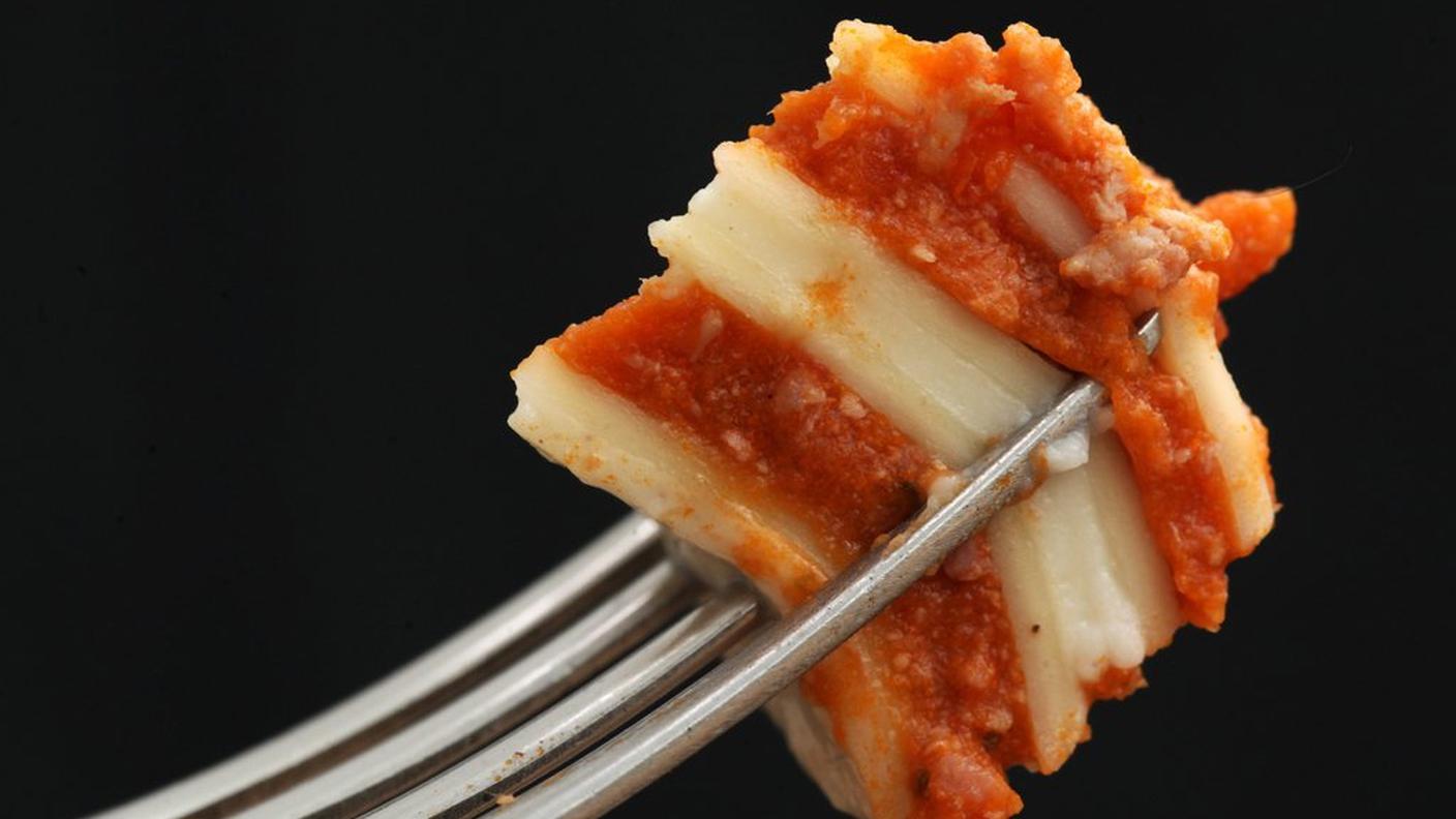 lasagne scandalo carne cavallo 13.2.13 ky.JPG