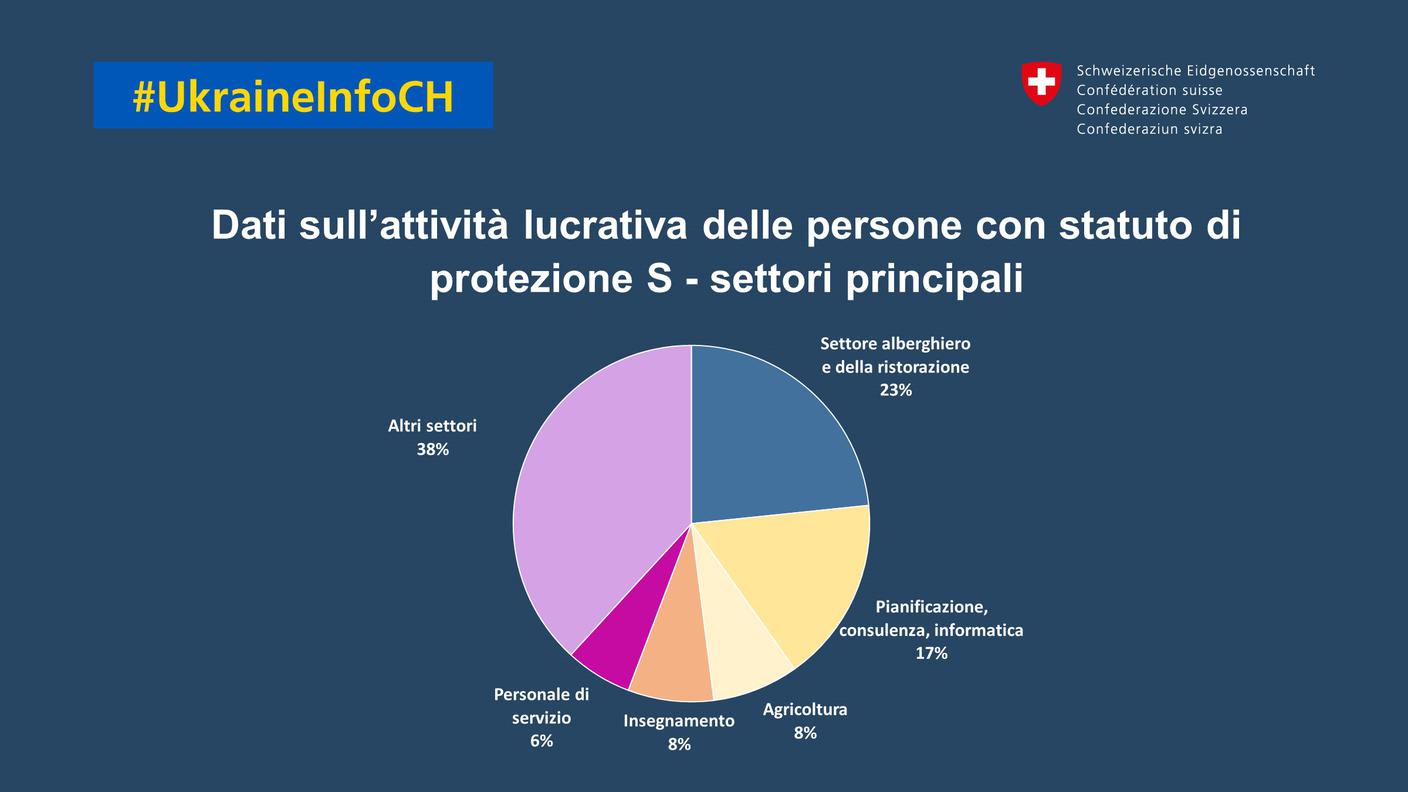 I dati sull'attività lucrativa delle persone con statuto S
