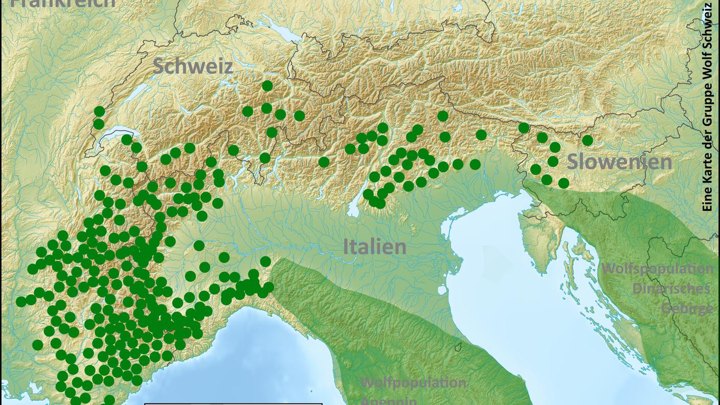 La distribuzione dei branchi nel 2021