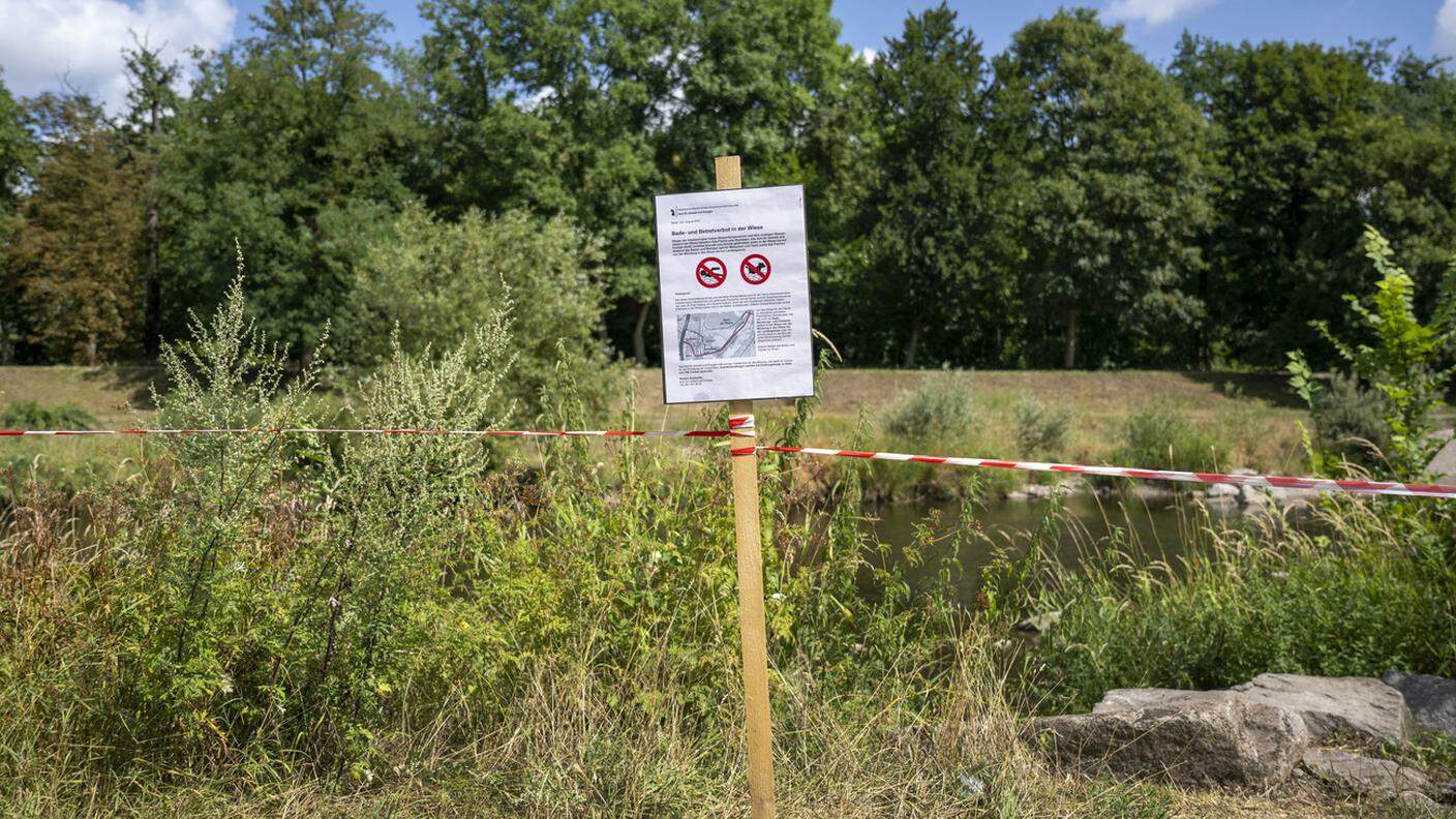 Un divieto di accesso alle rive nella regione di Basilea, per ridurre lo stress per i pesci