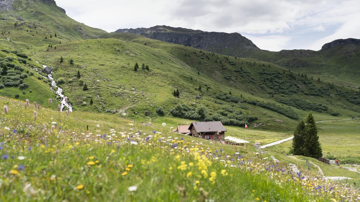 Biodiversità: il Nazionale sceglie il controprogetto indiretto del Governo modificato