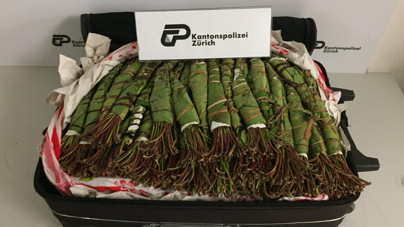 Una valigia piena di khat bloccata dalla polizia zurighese a Kloten in una foto d'archivio