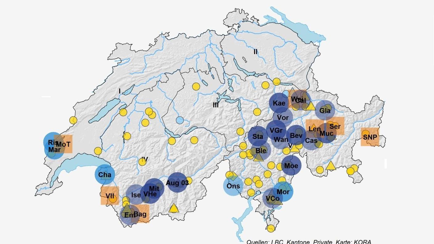 Branchi e coppie di lupi in Svizzera 2022