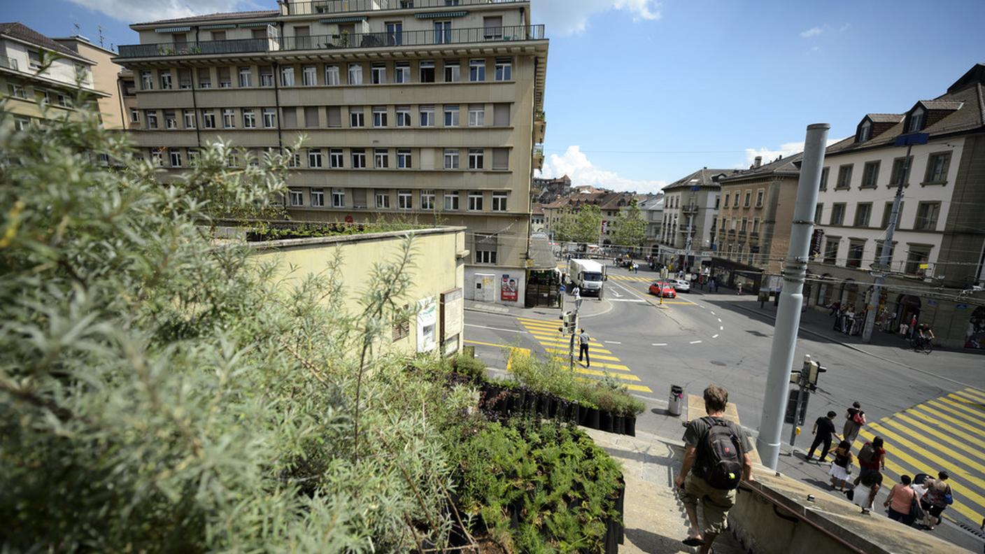 Il giardino Garden Collective Basilique Notre-Dame