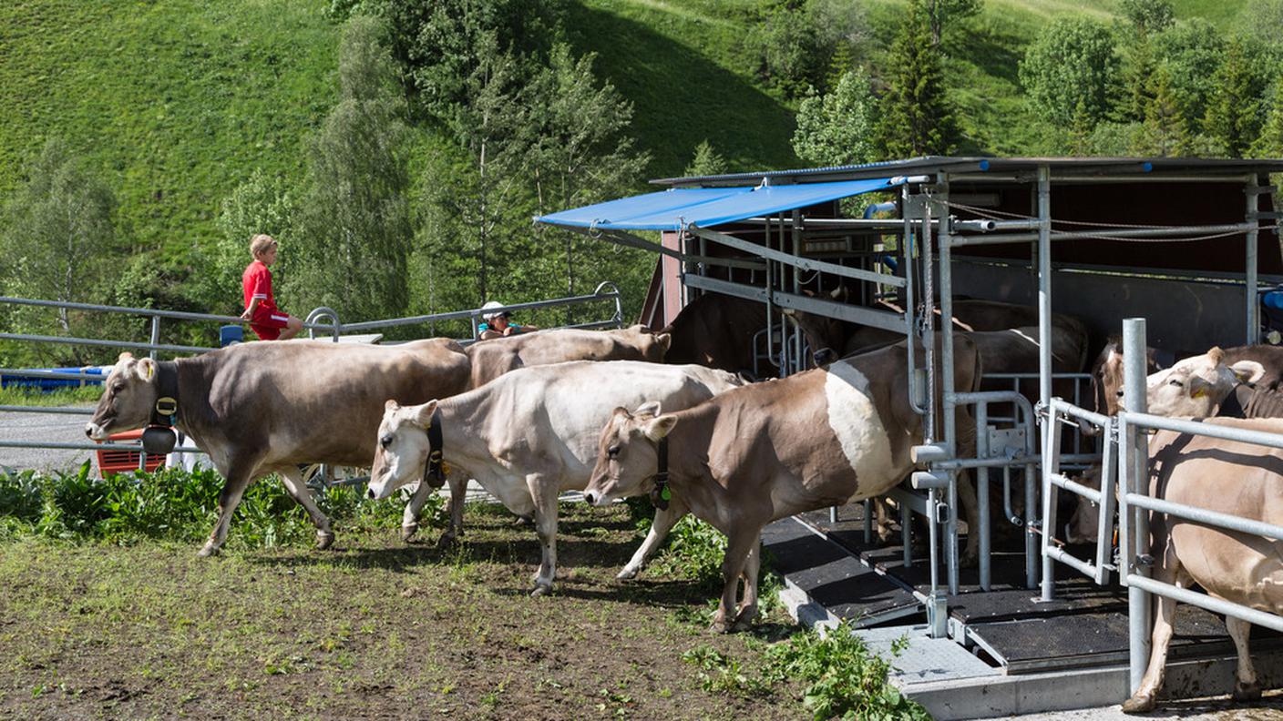 Un modo per gli agricoltori di montagna di distinguersi