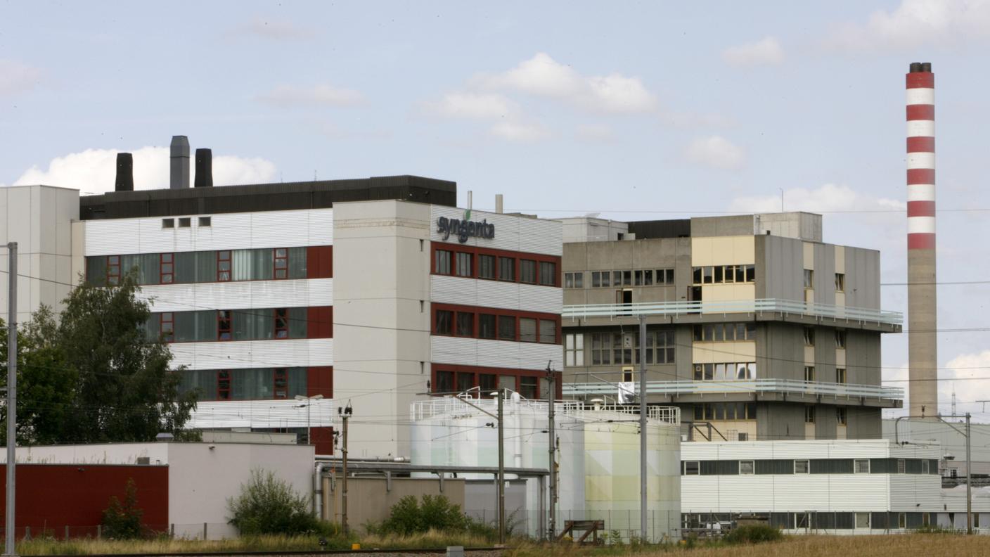 re_Syngenta-Stein-21.11.2011.jpg