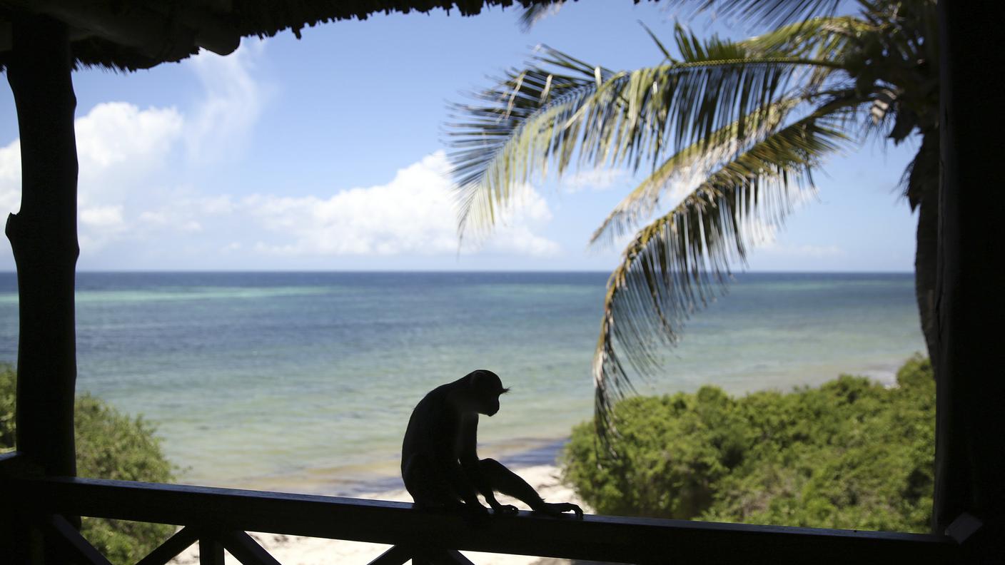 diani kenya reuters.jpg