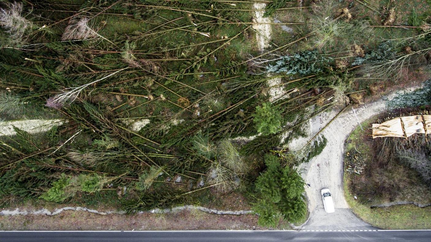 Un'immagine indicativa del disastro provocato da Burglind nei boschi elvetici