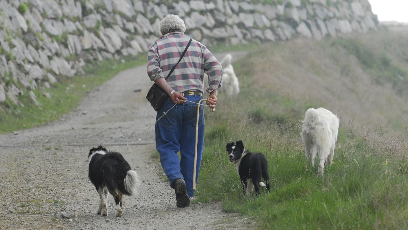 Parola d'ordine: "sensibilizzare"