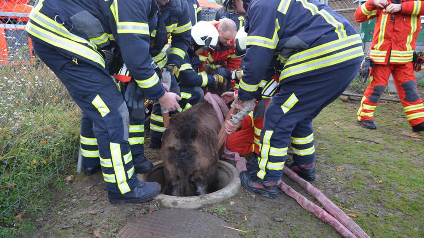 Le operazioni di soccorso