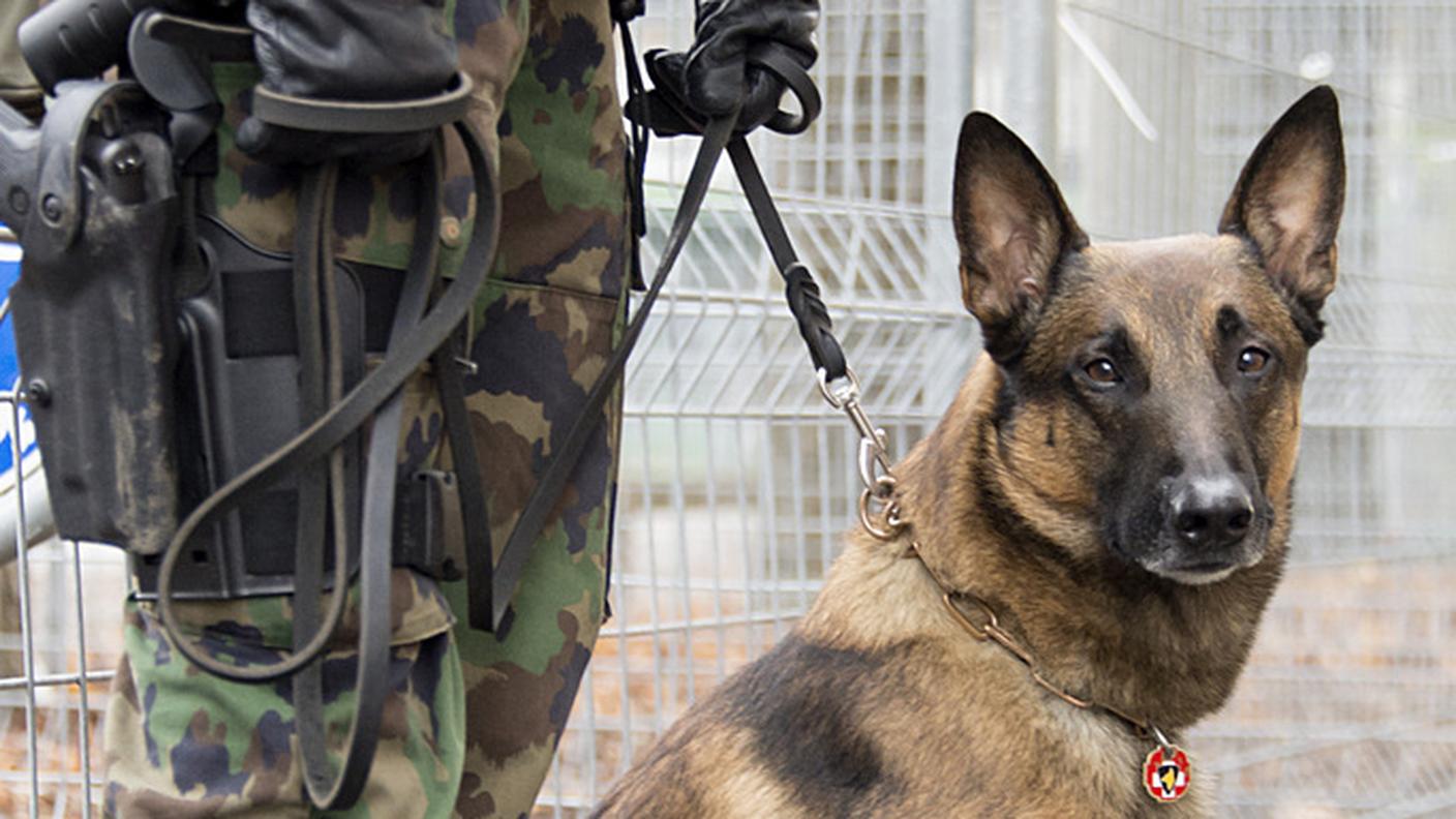I militari si occupano anche di sorvegliare la zona del vertice