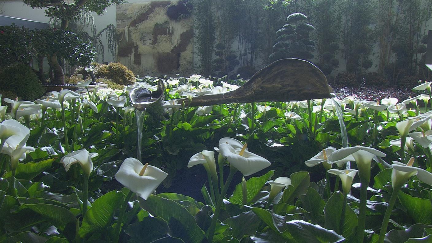 Angoli di verde