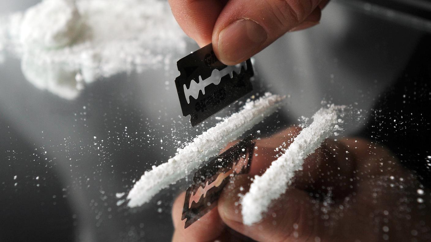 I criminali hanno movimentato 231 chili di sostanze stupefacenti