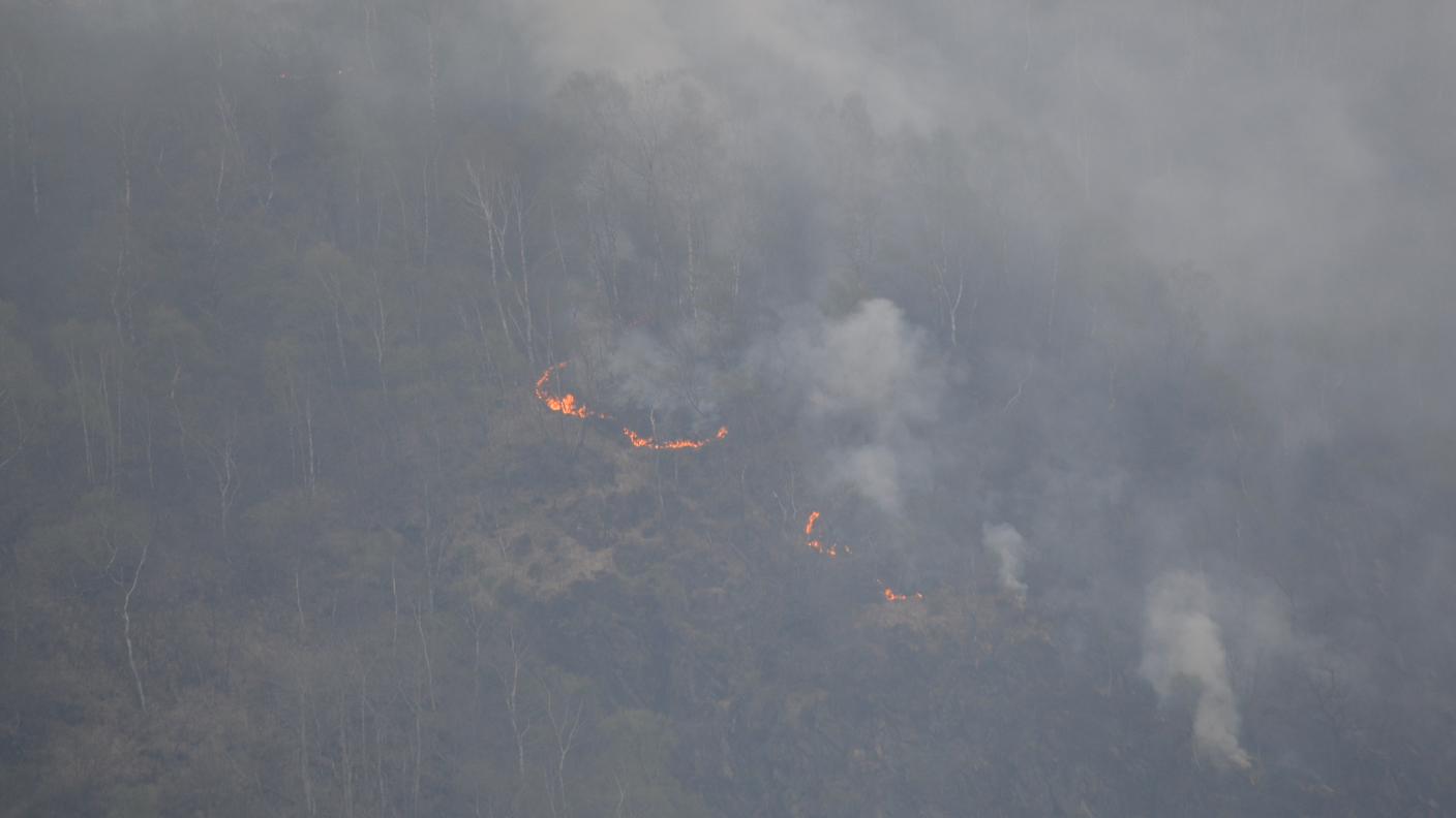 Alcune lingue di fuoco nel bosco