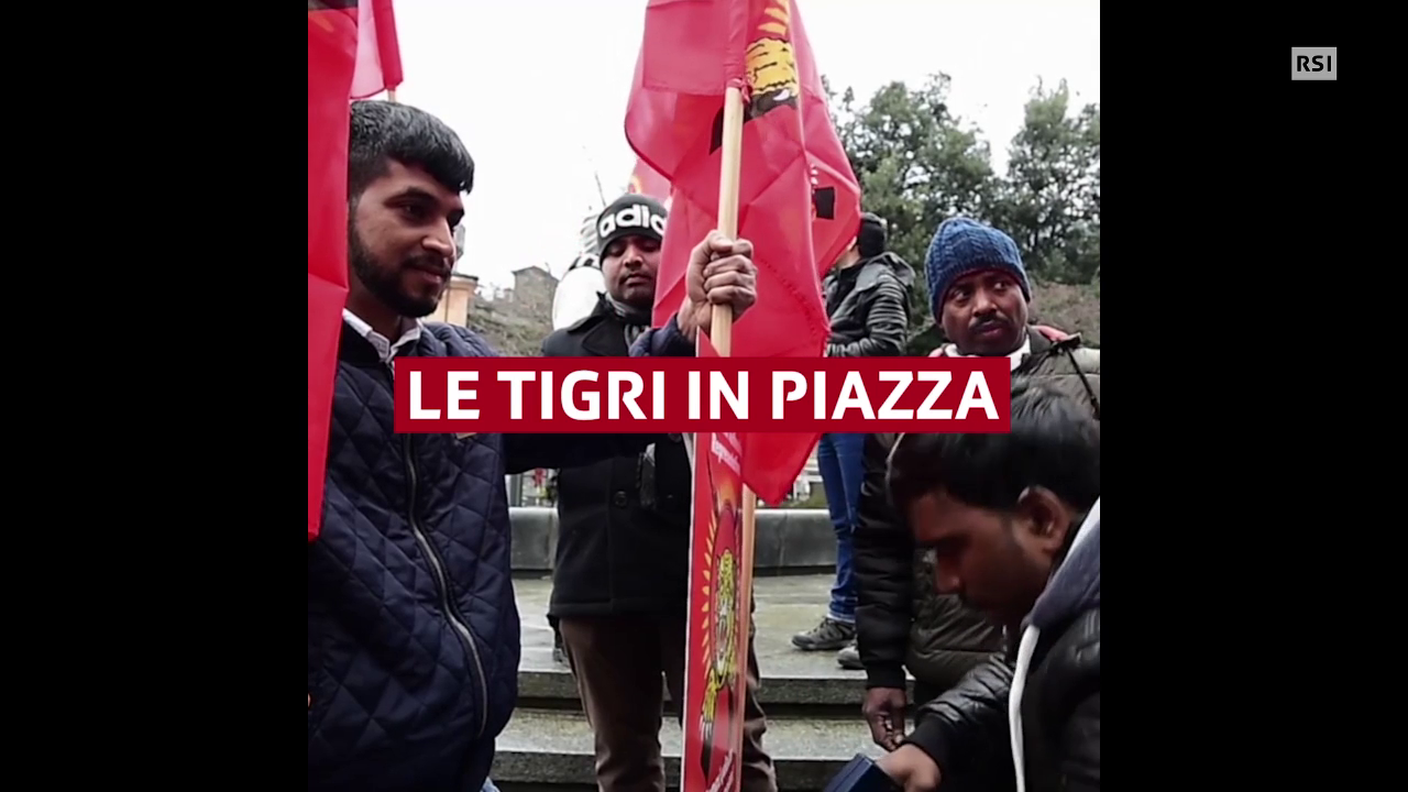 Mobilitazione per le Tigri