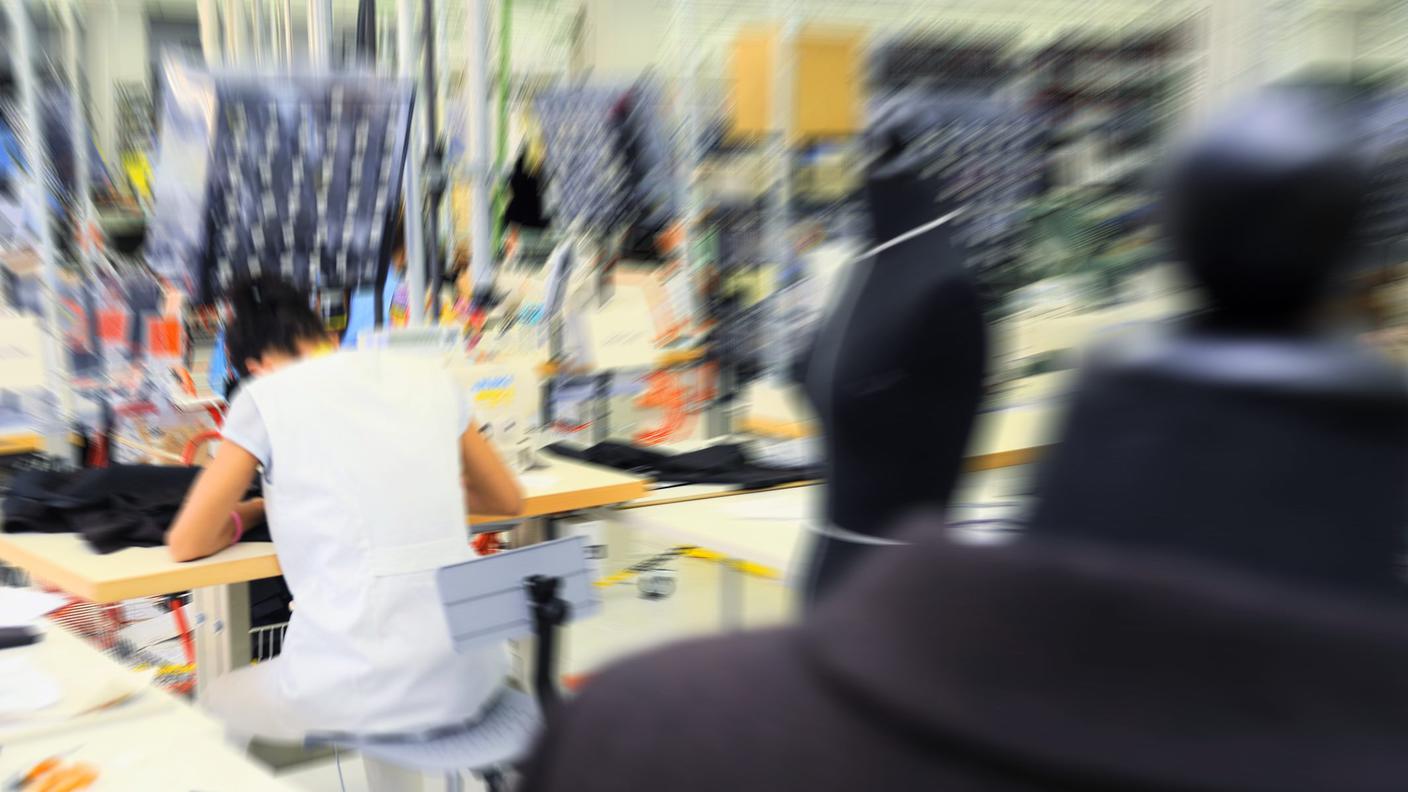 Nell'azienda lavorano 600 persone