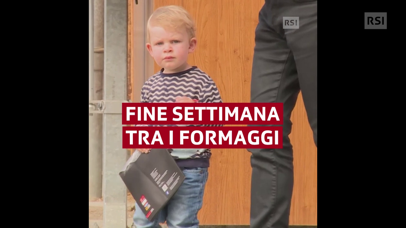 Pubblico di ogni età a Caseifici aperti