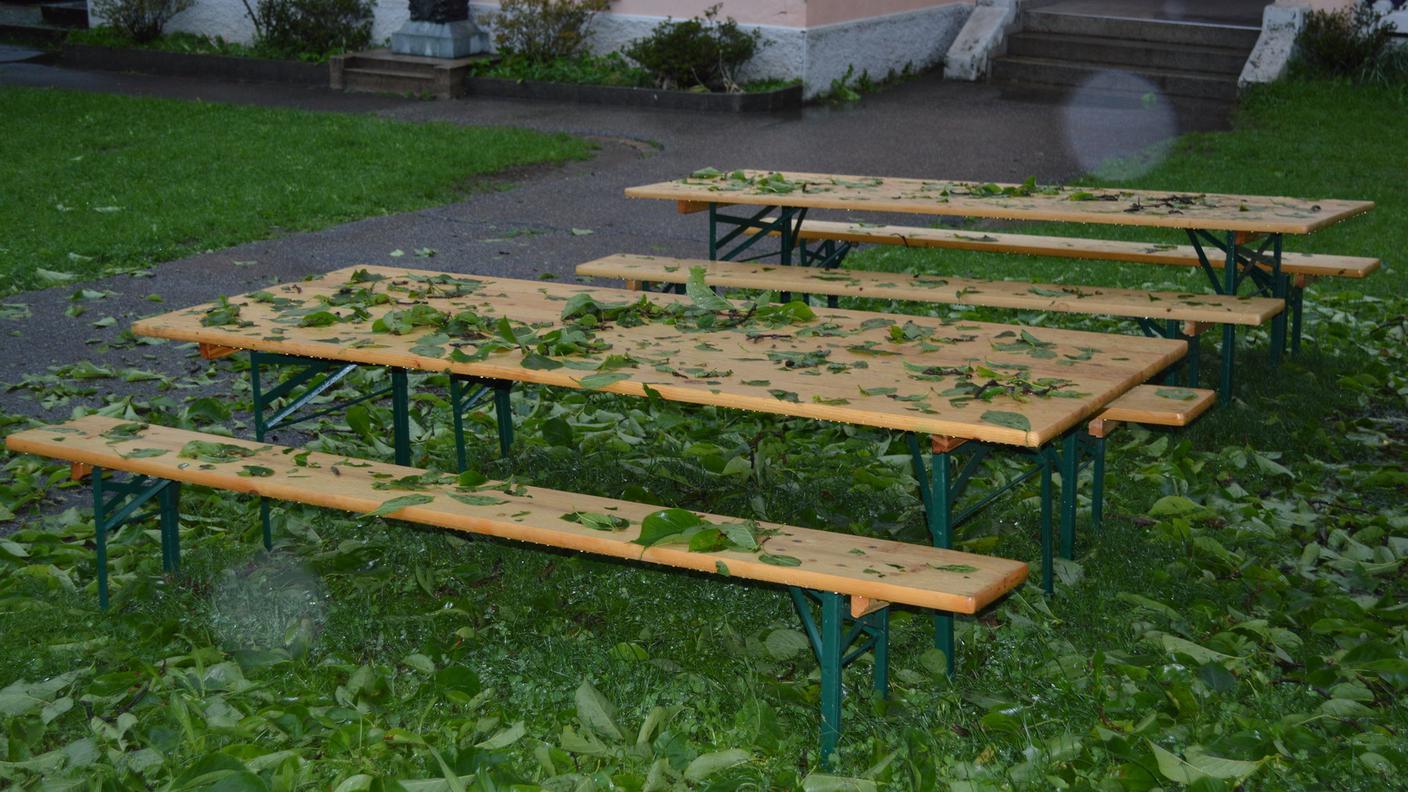 Il forte vento ha ''spettinato'' diversi alberi a Monteceneri