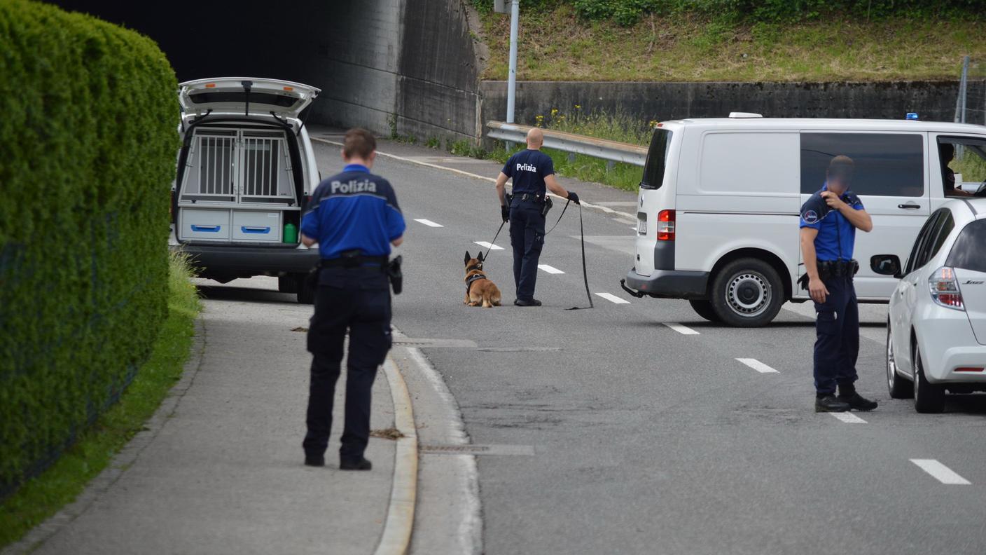 Uomini, mezzi e cani sul terreno