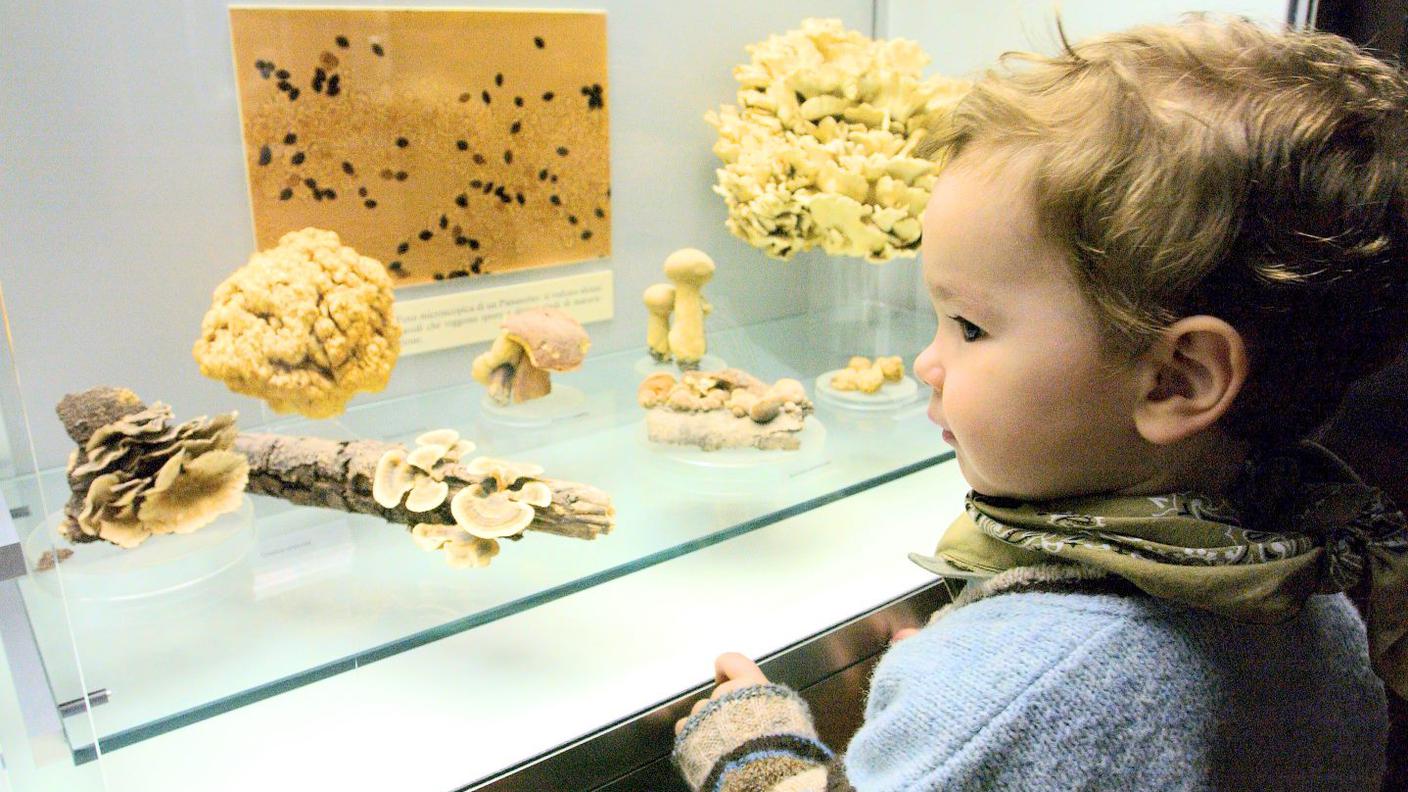 Un giovane visitatore al Museo di storia naturale di Lugano