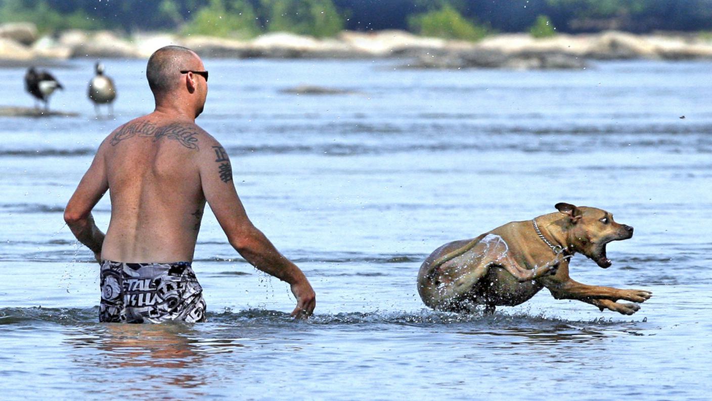 Un tuffo rinfrescante nell'acqua