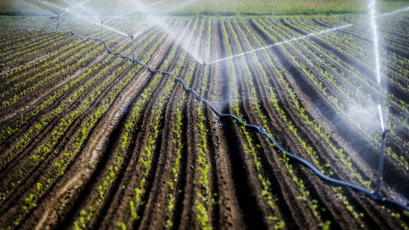 Per ora c'è acqua, ma la pioggia sarebbe benvenuta